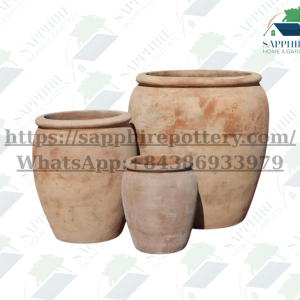 SAP24115835 - Set of 3